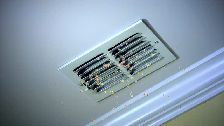 Best Local Air Duct Cleaning Services  in Garrett, WA